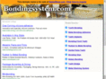 bondingsystem.com