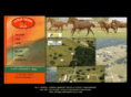 clearcreekstud.com
