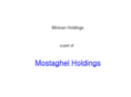 minivanholdings.com