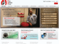 firesafetyfirst.com
