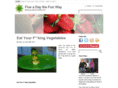 fiveadaythefunway.com