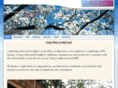 lotusplace.com