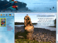 madidi-travel.com