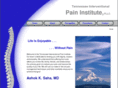 paininst.com