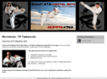 summitatamartialarts.com