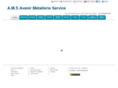 avenirmetallerieservice.com