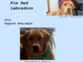 foxredlabradors.com