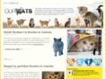 our-cats.com