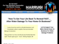 waterdamagemetrodetroit.com