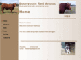 boonyouin.com
