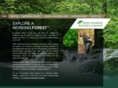 greendiamond.com