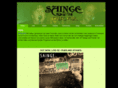 sainge.com