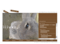 iiivko.com