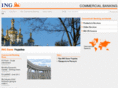 ingukraine.com