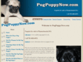 pugpuppynow.com