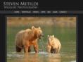stevemetildi.com