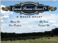 gpbison.com