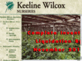 keelinewilcox.com