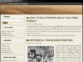 learnmuaythaiboxing.com