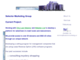 selectormarketing.us
