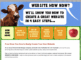 websitehownow.com