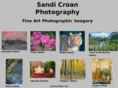 sandicroanphotography.com