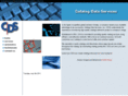 catalogdataservices.com