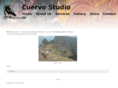 cuervostudio.com