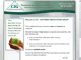 customerinnovationsgroup.biz