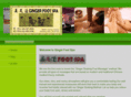gingerfootspa.com