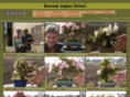 koshidi.com