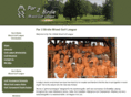 par-2-birdie-mixed-golf-league.com
