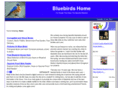 bluebirdshome.com