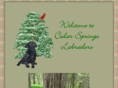 cedarspringslabs.com