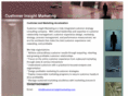 customerinsightmarketing.com