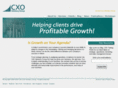 cxoadvisorygroup.com
