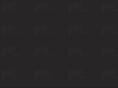 pac-citron.com