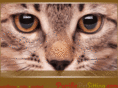 purrificpetsitting.com