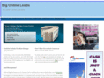 bigonlineleads.com