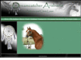 dreamcatcherarabians.net