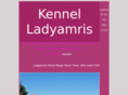 ladyamris.com