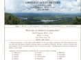 amherst-acupuncture.com