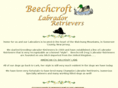 beechcroftlabradors.com