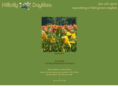 hillbillydaylilies.com