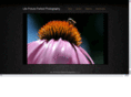 lifepictureperfect.com