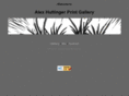 alexhuttinger.com