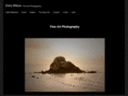 chriswilsongallery.com