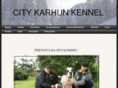 citykarhun.com