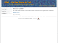 ds4y.com
