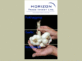 horizon-trade-invest.com